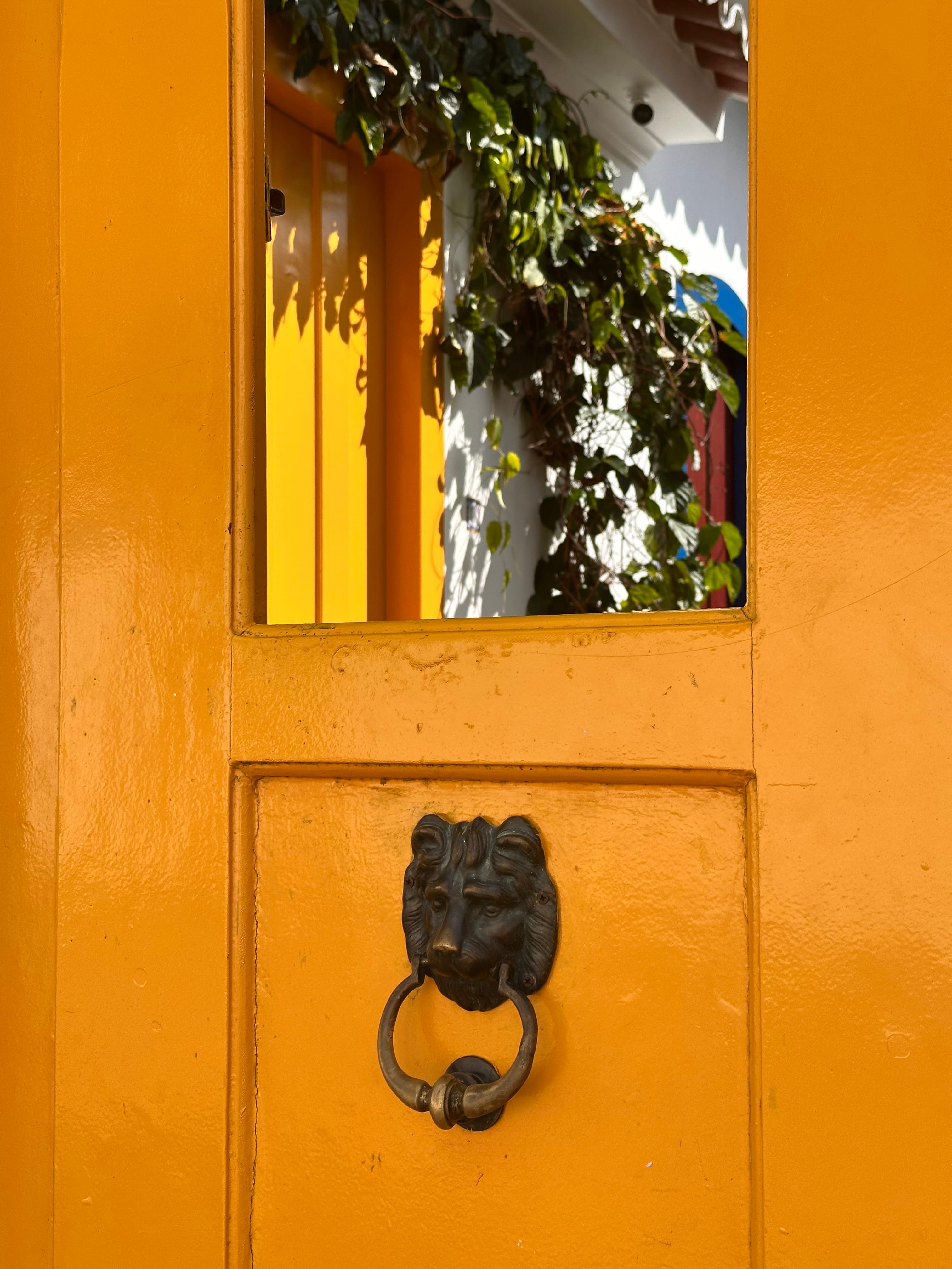 (TEST - DO NOT BOOK) Historic Center Walking Tour: Colonial History & Cachaça Tasting